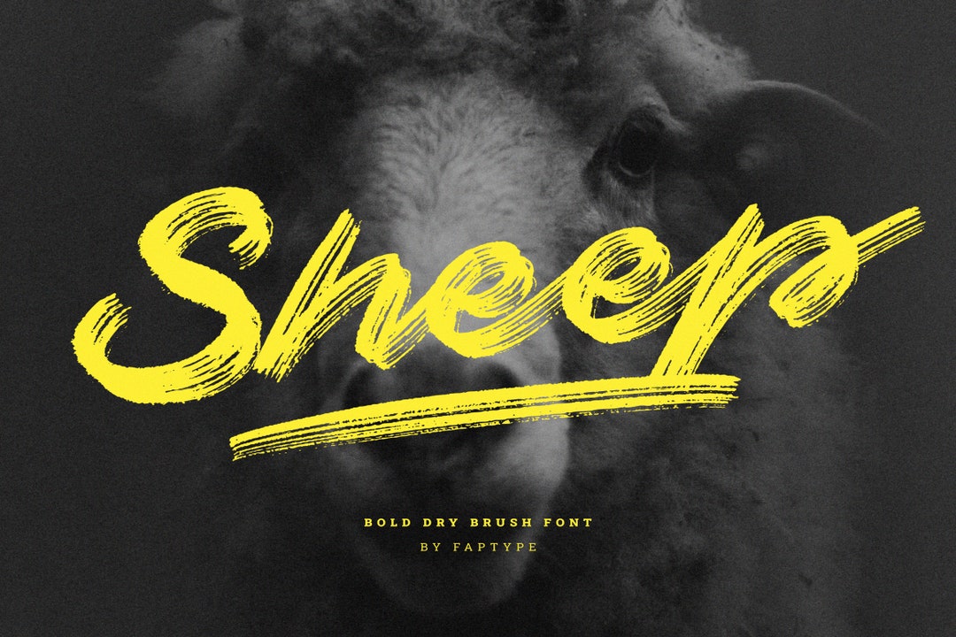 Sheep Dry Brush Script Font Brush Script Handwritten Modern - Etsy México