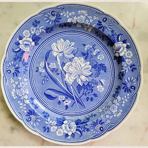 Spode Blue Room Botanical Dinner Plate – Blue & White Transferware, English Ironstone, Floral Design, Collectible Dining Plate - 5 pieces