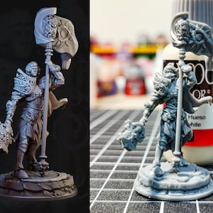 Hero Forge 3D Printing Service for D&D, Tabletop, RPG and miniatures *8K resolution*