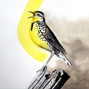 Meadowlark