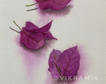 Bougainvillea flowers Art print