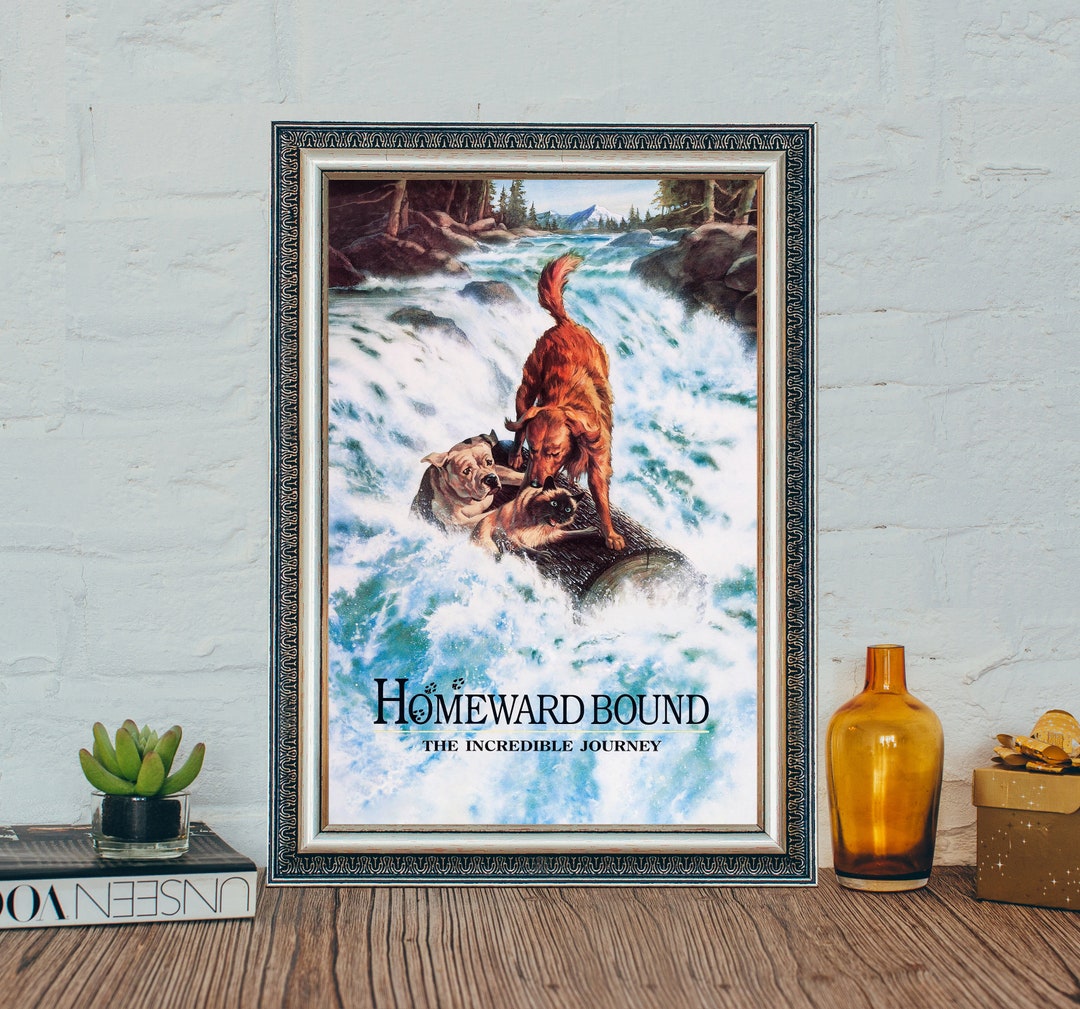 Homeward Bound the Incredible Journey Movie Poster, Homeward Bound the