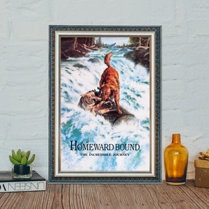 Filmaffisch för Homeward Bound: Vintage canvasduk