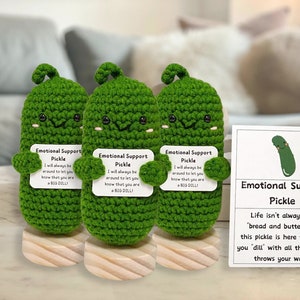  2pcs Handmade Emotional Support Pickled Cucumber Gift, Cute  Knitting Doll Crochet Cucumber, Emotional Support Pickled Cucumber Knitting  Doll, Christmas Pickle Knitting Doll Ornament (Pineapple) : Home & Kitchen