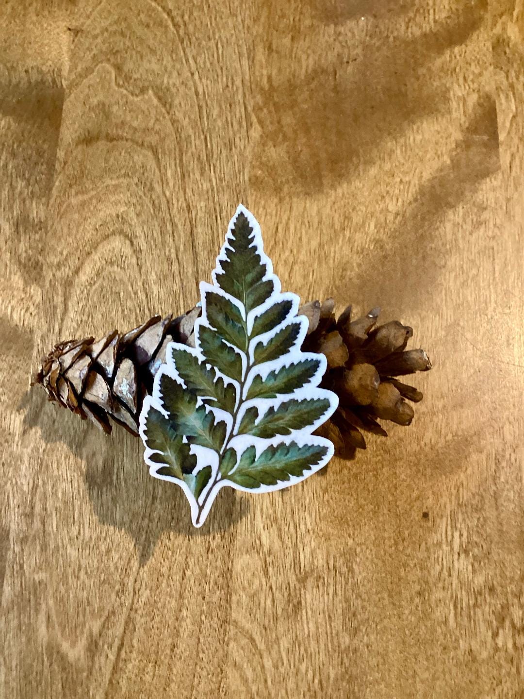 Fern Sticker, Gift for Gardeners, Stationary, Decal, Plant Decor, Plant ...