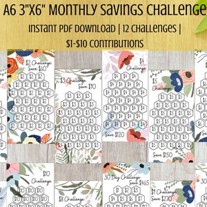 Kleine bis mittlere Budget Einsparungen druckbare Challenge Tracker Bundles Set von 12 Mini Savings Challenge A6 Challenge Floral Hexagon