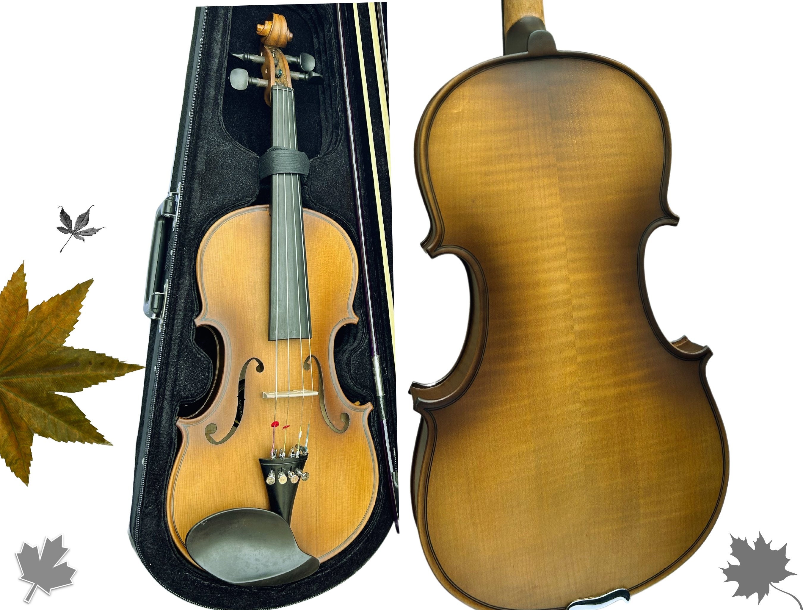 Philodendron violin - Etsy 日本