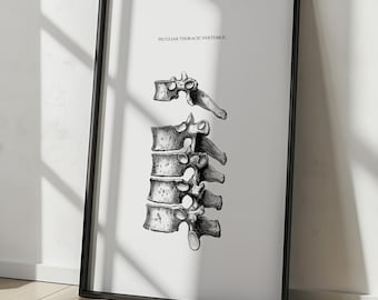 Vintage wervelkolom anatomie kunstafdruk: poster borstwervels (digitale download)