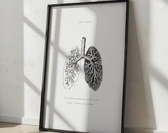Human Lungs Printable - Human Anatomy Wall Art - Vintage Anatomy - Black White - Human Lungs Anatomy - Scientific Poster - Trachea - Bronchi