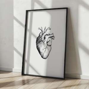Anatomical Heart Print: Vintage Human Anatomy Poster (Digital Download)