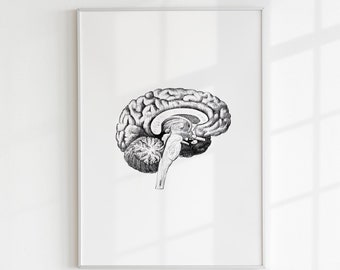 Vintage anatomische hersenprint: wetenschappelijk interieur (digitale download)