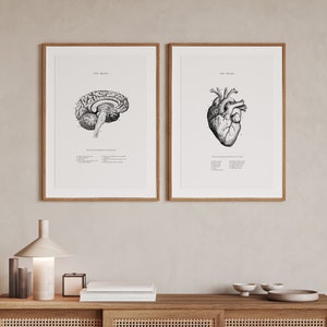 Anatomisches Herz - Anatomisches Gehirn - 2er-Set - Anatomisches Herz Print - Druckbare Wandkunst - Vintage Anatomie des Menschen - Wissenschaftliches Poster