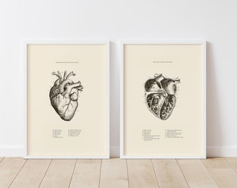 Anatomical Heart Print: Vintage Human Anatomy Illustration (Digital Download)