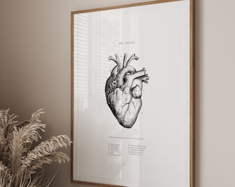 Anatomical Heart Print - Printable Wall Art - Heart Wall Art - Vintage Anatomy - Black White - Human Heart Anatomy - Scientific Poster