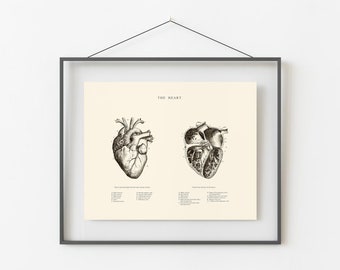 Anatomical Heart Print - Printable Wall Art - Heart Wall Art - Vintage Anatomy  - Home Decor - Human Heart Anatomy - Scientific Poster
