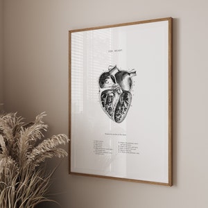 Anatomical Heart Print - Printable Wall Art - Heart Wall Art - Vintage Anatomy - Black White - Human Heart Anatomy - Scientific Poster