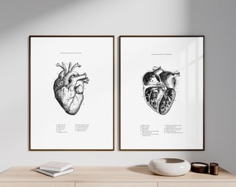 Anatomisches Herz Print - druckbare Wandkunst - Herz Wandkunst - Vintage Illustrationen - Wohnkultur - Anatomie des menschlichen Herzens - wissenschaftliches Poster