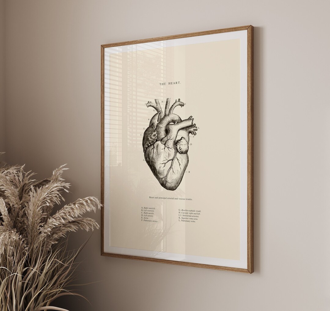 Anatomical Heart Print Printable Wall Art Heart Wall Art - Etsy