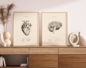 Vintage Anatomy Print Set: Heart & Brain Scientific Poster (Digital Download)