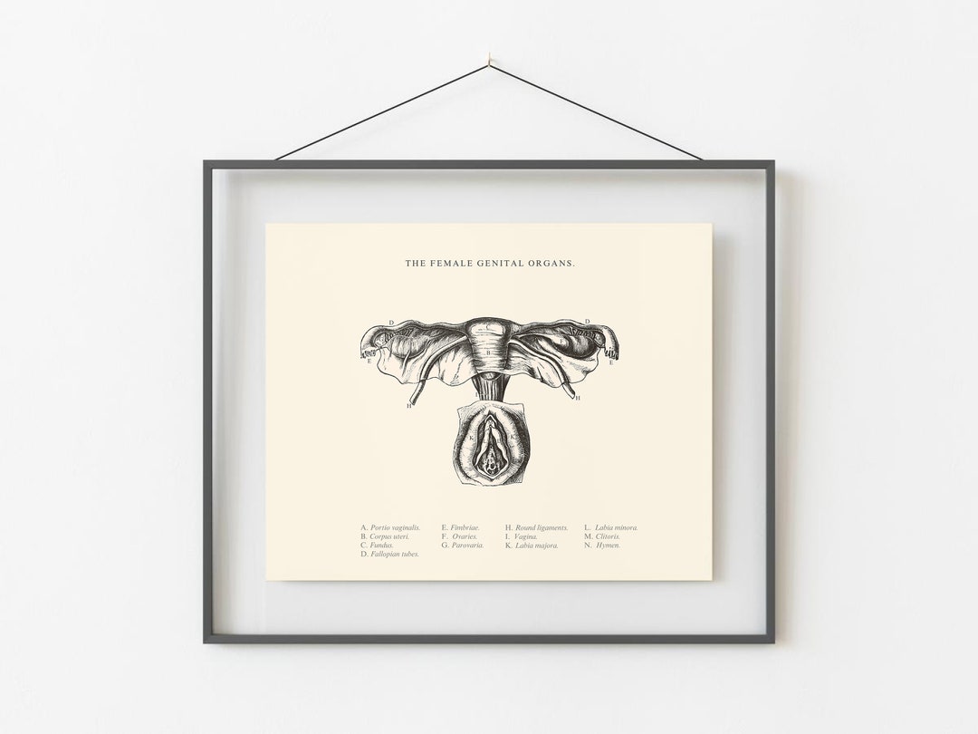 Female Anatomy Print - Printable Wall Art - Gynecology Wall Art ...