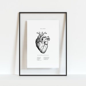 May include: A black and white anatomical illustration of the human heart with labeled parts. The image is framed in a black frame and has the title "The Heart" at the top.