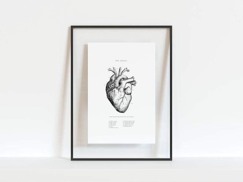 May include: A black and white anatomical illustration of the human heart with labeled parts. The image is framed in a black frame and has the title "The Heart" at the top.
