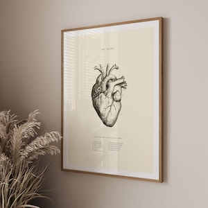 Anatomical Heart Print - Printable Wall Art - Heart Wall Art - Vintage Anatomy  - Home Decor - Human Heart Anatomy - Scientific Poster