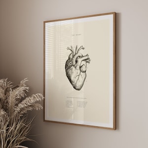 Anatomisches Herz Poster - druckbare Wandkunst - Herz Wandkunst - Vintage Anatomie - Wohnkultur - Herzanatomie - wissenschaftliches Poster