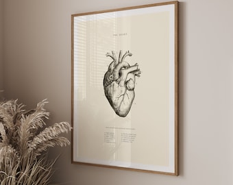 Anatomical Heart Print - Printable Wall Art - Heart Wall Art - Vintage Anatomy  - Home Decor - Human Heart Anatomy - Scientific Poster