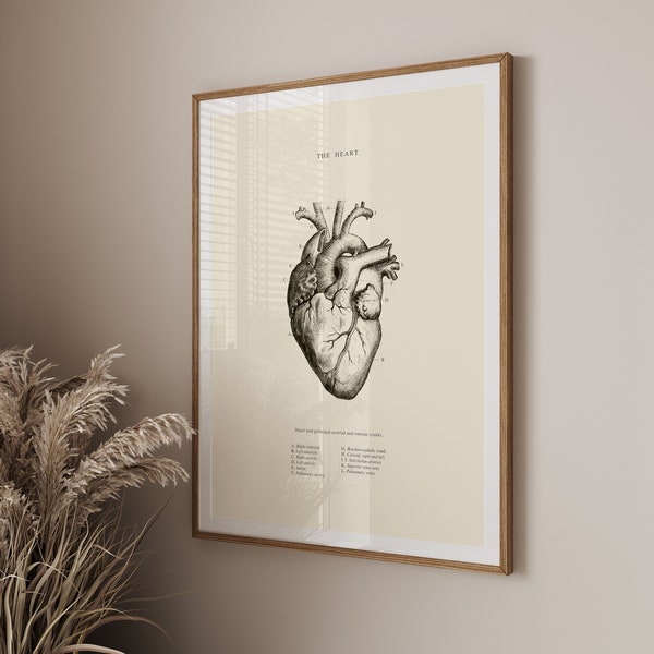 Anatomical Heart Print - Printable Wall Art - Heart Wall Art - Vintage Anatomy  - Home Decor - Human Heart Anatomy - Scientific Poster