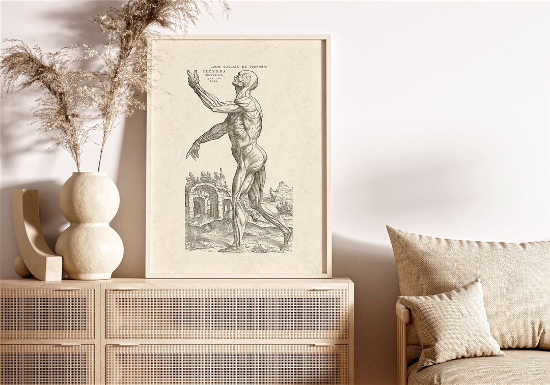 Human Anatomy Print - De Humani Corporis Fabrica - Andreas Vesalius ...