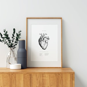 May include: A black and white anatomical illustration of the human heart with labeled parts. The print is framed in a light wood frame and is displayed on a wooden shelf.