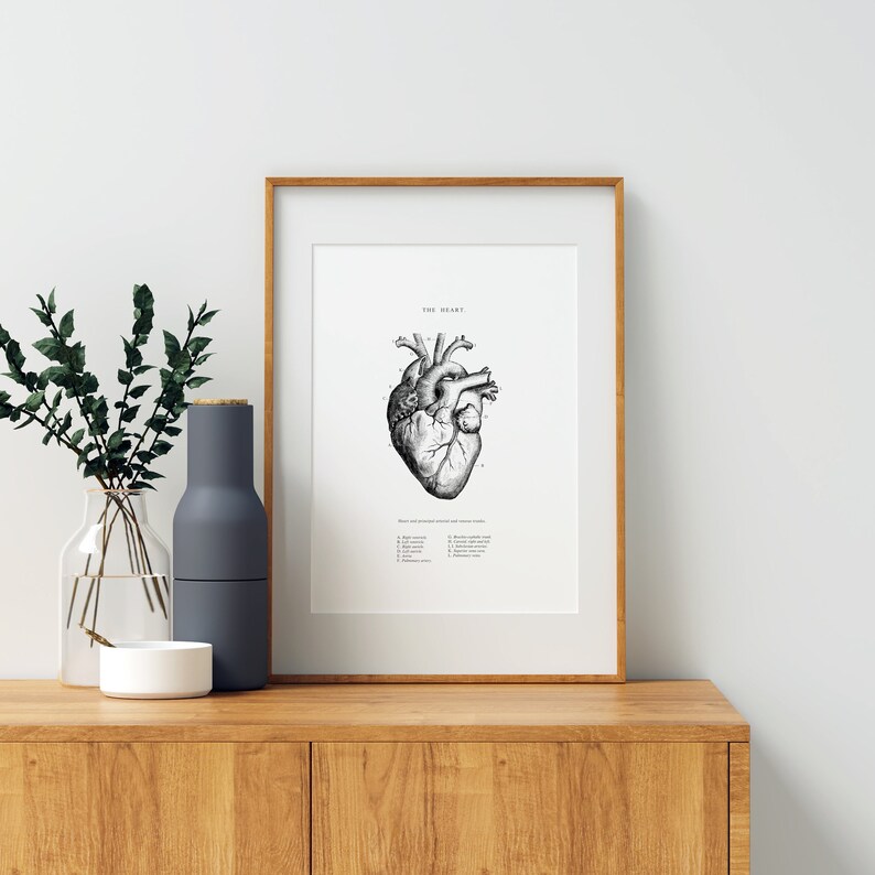 May include: A black and white anatomical illustration of the human heart with labeled parts. The print is framed in a light wood frame and is displayed on a wooden shelf.