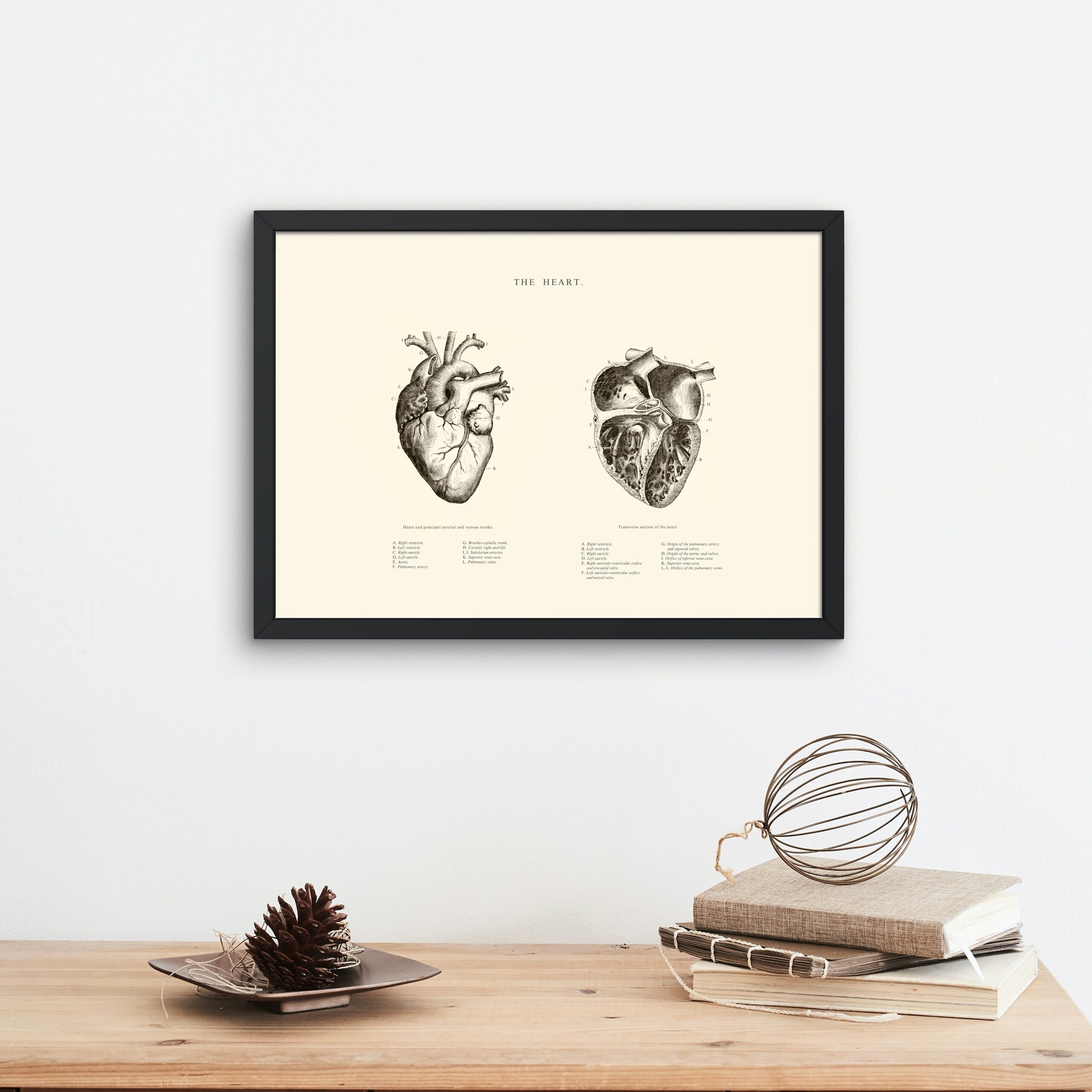 Anatomical Heart Print Printable Wall Art Heart Wall Art - Etsy