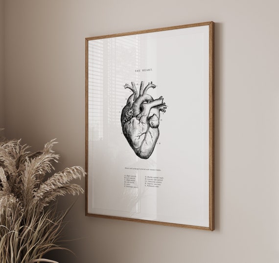 Vintage Anatomical Heart Print: Black & White Scientific Poster (Digital Download)