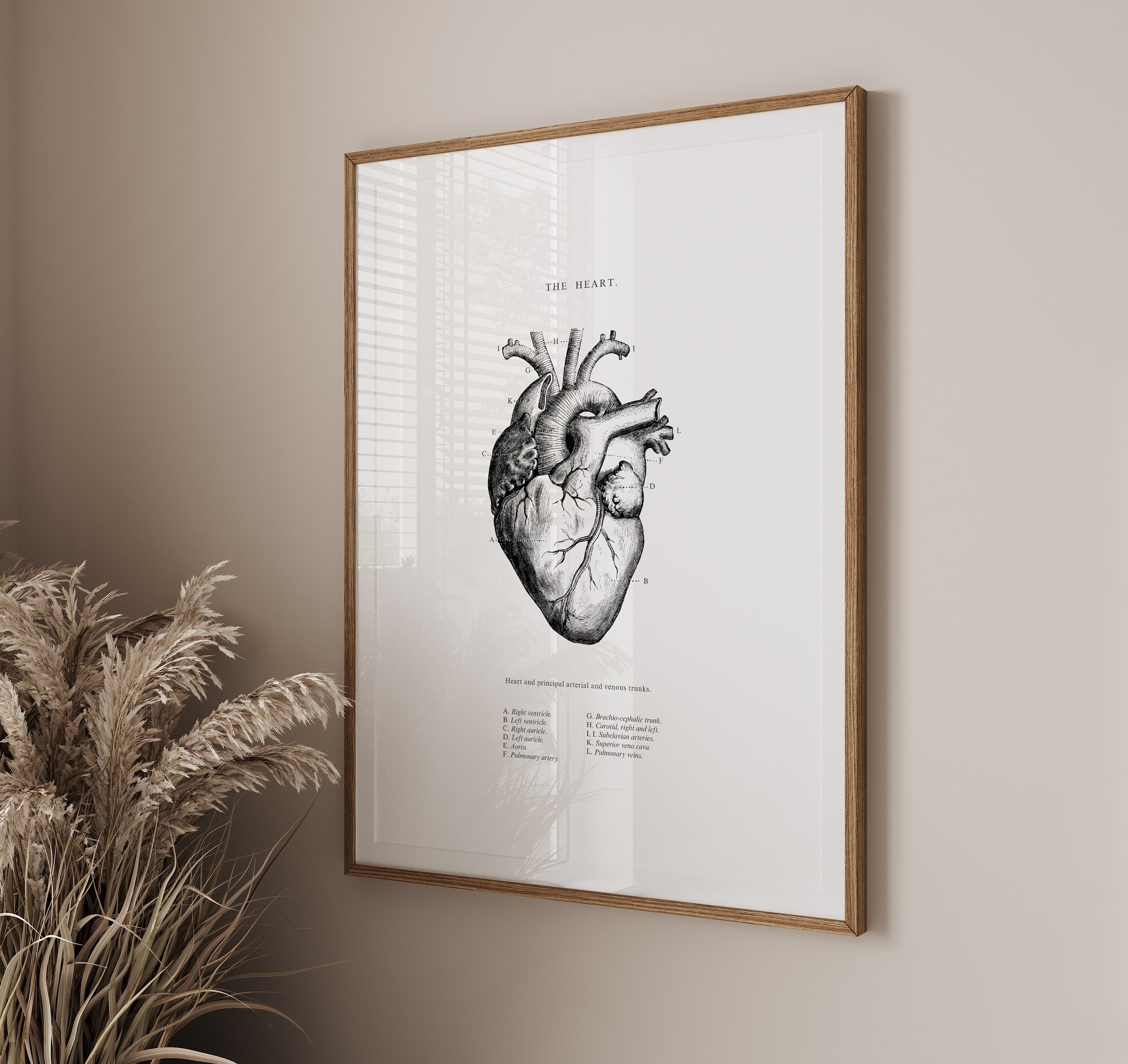 Anatomical Heart Print - Printable Wall Art - Heart Wall Art - Vintage Anatomy - Black White - Human Heart Anatomy - Scientific Poster