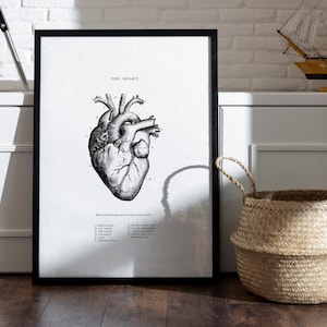 May include: Black and white anatomical illustration of the human heart with labeled parts. The image is framed and hanging on a white wall above a white cabinet.