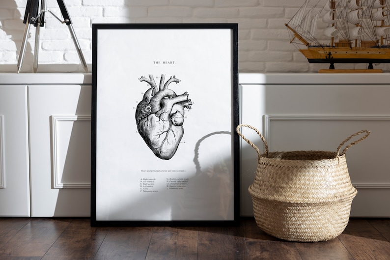 May include: Black and white anatomical illustration of the human heart with labeled parts. The image is framed and hanging on a white wall above a white cabinet.
