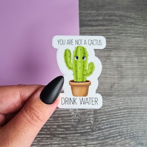 Adesivo per bere acqua, adesivo Cactus carino, adesivo promemoria per bottiglia d'acqua, Rimani idratato