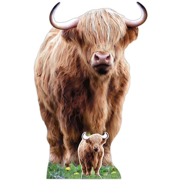 Scottish Highland Cow / Coo Cardboard Cutout - inlcudes large and mini / tabletop cardbaord cutouts.  Amazing animal prop and unique gift