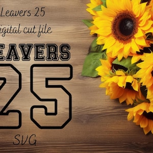 Leavers 25 Graphic cut file SVG filled with names