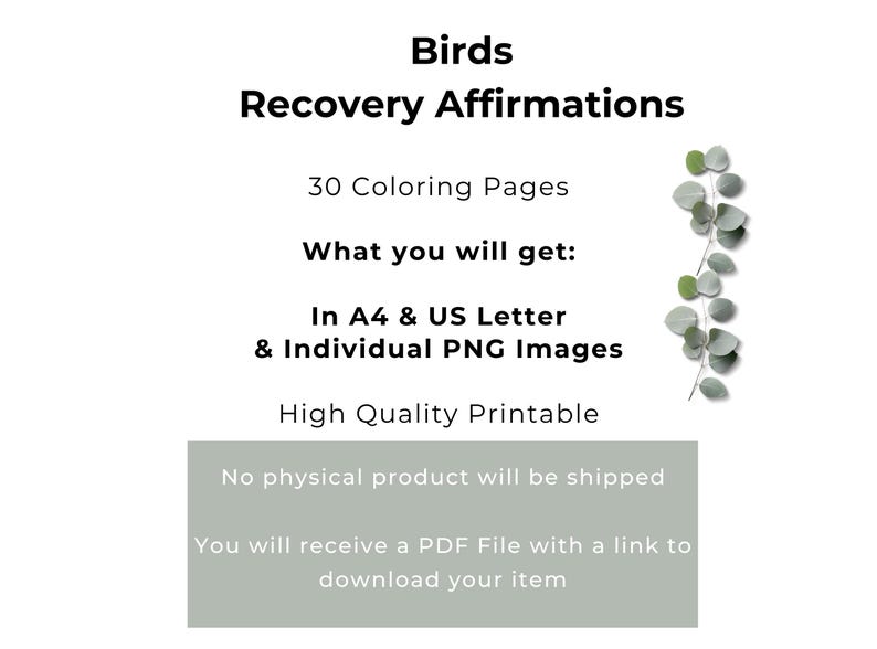 Addiction Recovery Coloring Book, Bird Stained Glass Designs, 30 Page ...