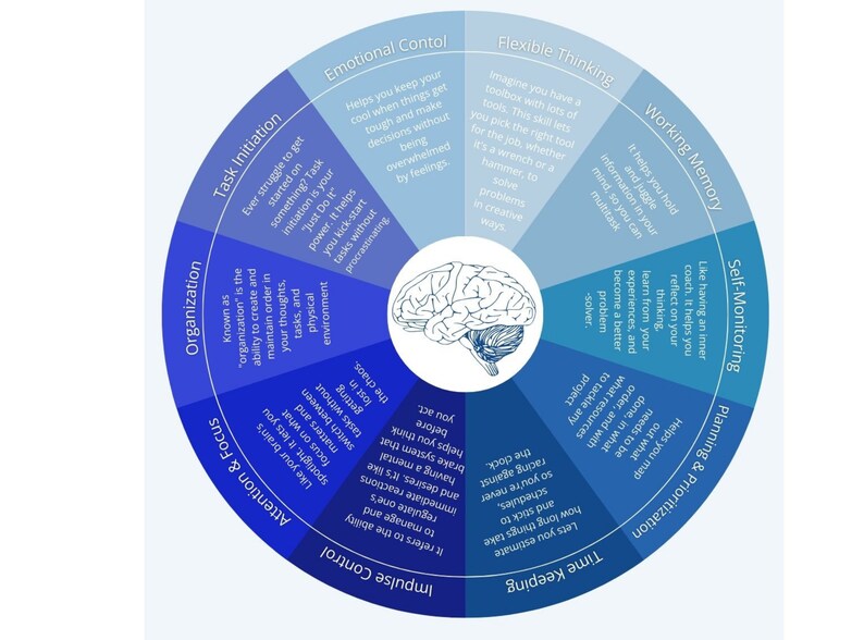 Cognitive Wheel.pdf Executive Function Wheel Wall Art, Blue Printable Infographic for ...