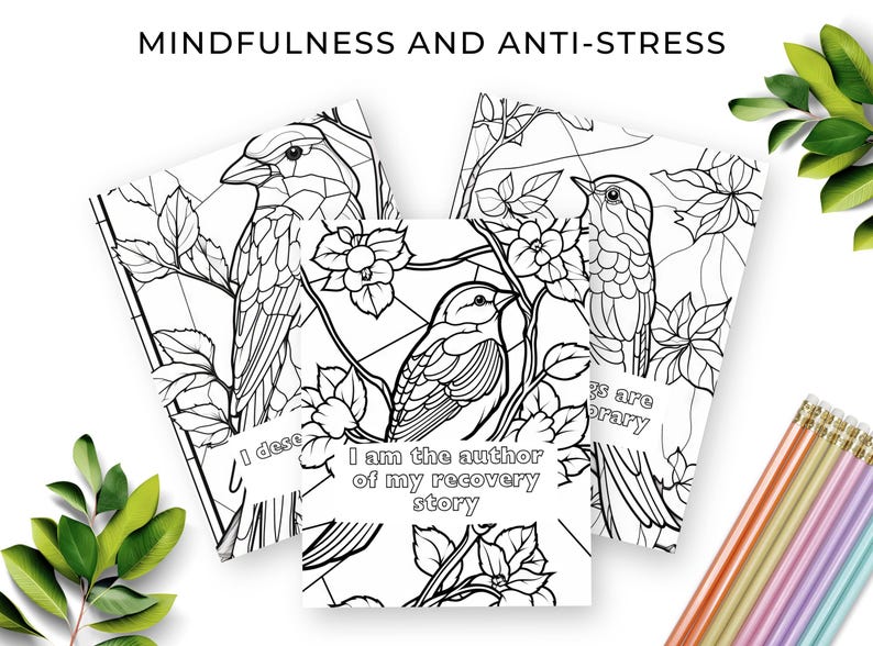 Addiction Recovery Coloring Book, Bird Stained Glass Designs, 30 Page ...