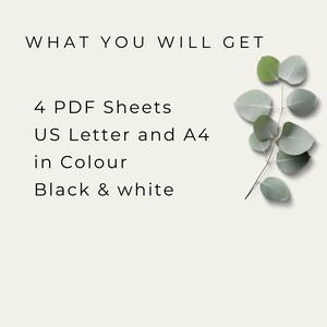 May include: A digital download of printable planner sheets in both US Letter and A4 sizes. The sheets are available in color and black and white. The image shows a sprig of eucalyptus leaves.