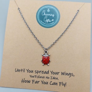 Ladybird Necklace – Lucky Charm Jewellery, Personalised Gift for Nature Lovers, Animal Jewellery for Friends & Family
