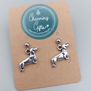 Dachshund Stud Earrings – Sausage Dog Jewellery Gift, Silver or Steel Pet Lover Earrings with Personalised Message
