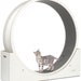 see more listings in the cat wheel section