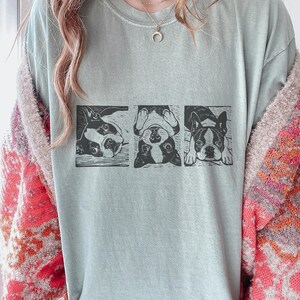 May include: A light green t-shirt featuring a black and white graphic of three Boston Terriers in different poses. The dogs are in rectangular frames, with one lying down, one upside down, and one looking forward.