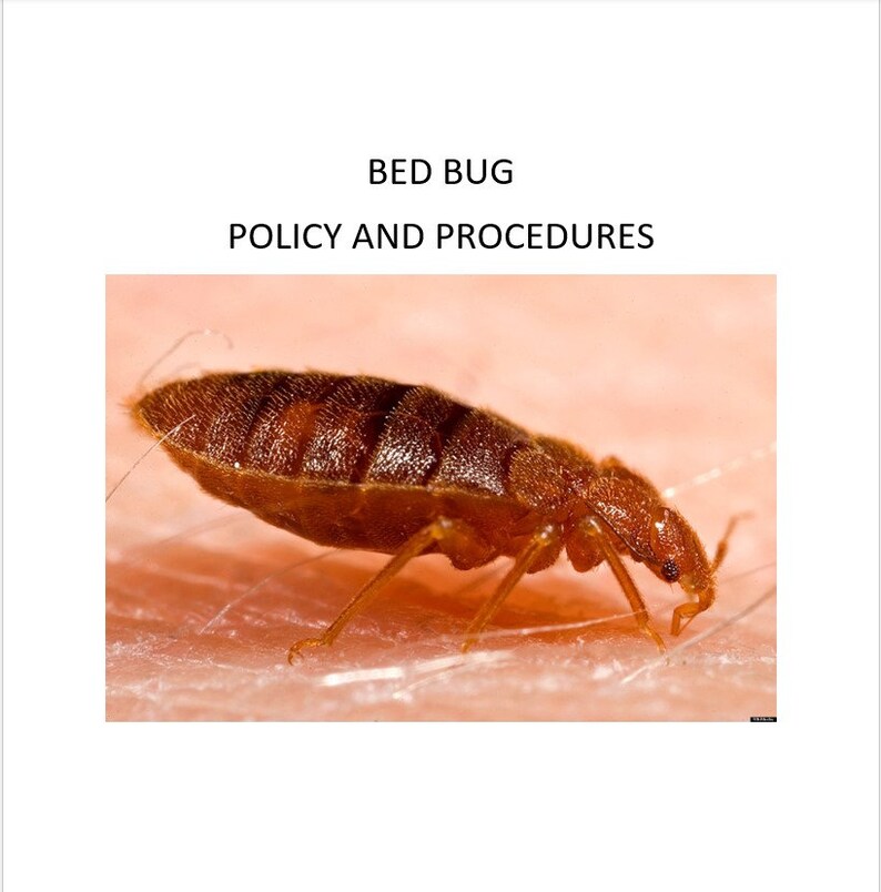 Policy and Procedure Bed Bugs With Log Etsy